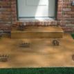 Animal Print Stamp on Colored Concrete